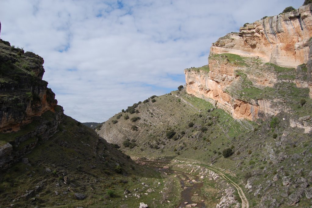 Riofrío del Llano, 19269, Guadalajara, Spain by José Ibáñez