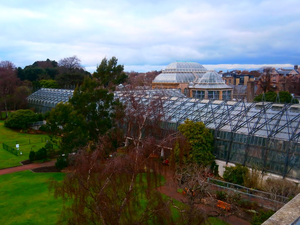 The Glass Houses at The Royal Botanical Gardens by lawrmaneebs