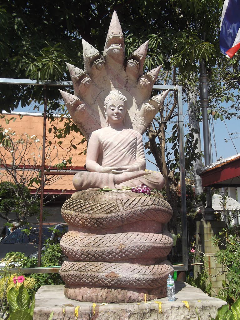 พระพุทธรูปปางนาคปรก Buddha wih Naga by Tsutomu Rikimi