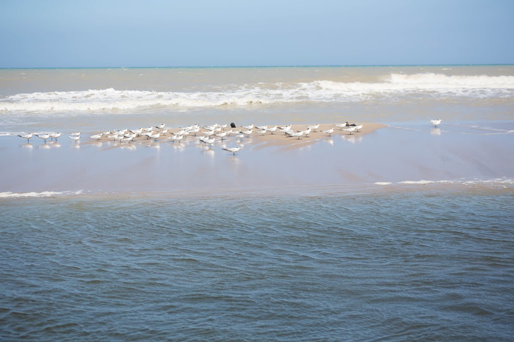 Rió Ancho, La Guajira, Colombia. by Icj