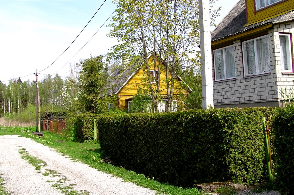 Sonda, Ida-Viru maakond, Estonia by jurij spod