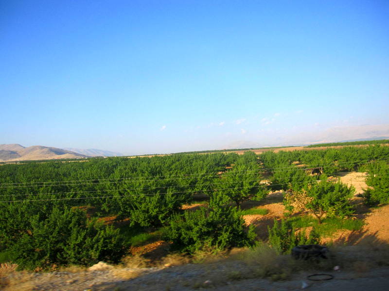 Darende Malatya yolu, Osman Ünlü by Osman Ünlü