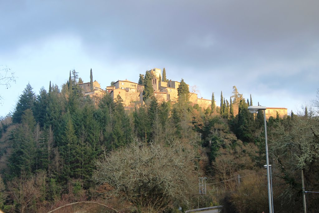 Barbischio - Gaiole in Chianti - SI by manuto