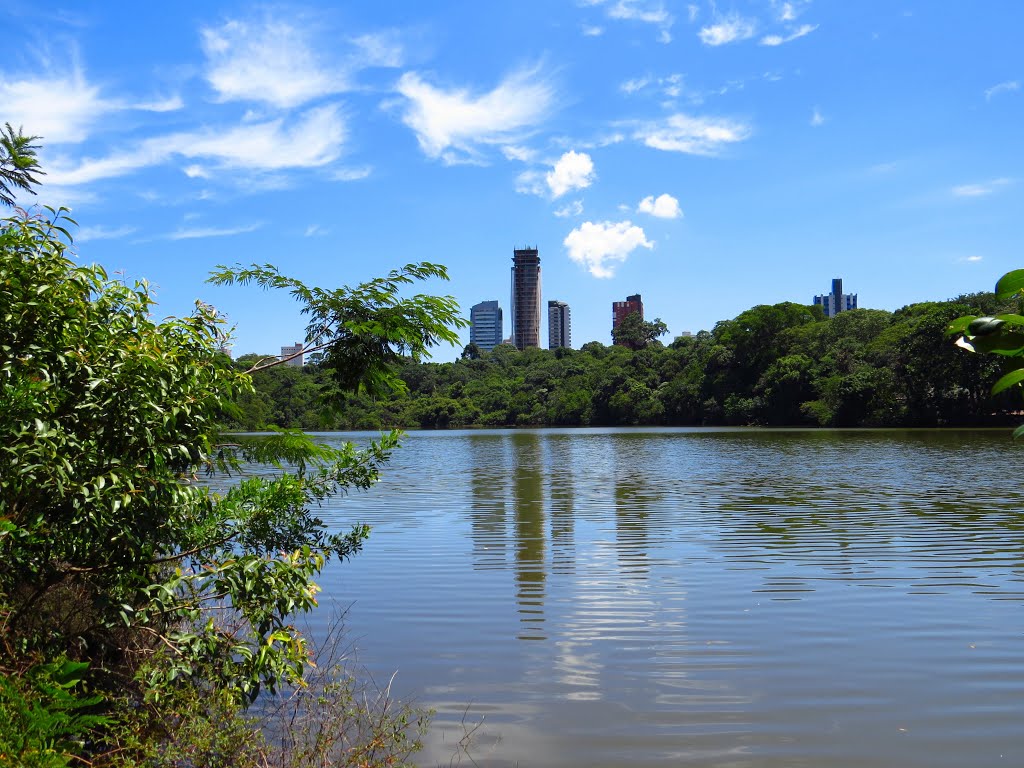 Lago no Parque do Ingá em Maringá, PR. by Ricardo Mercadante