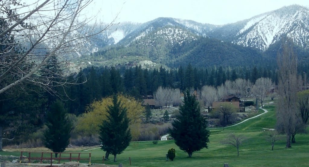 PMC GC 2nd fairway-Mt. Pinos. Spring. by DouglasPage