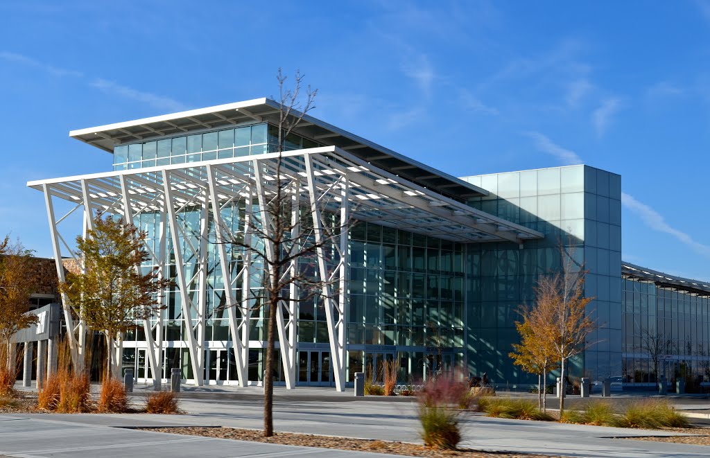 The Pit Basketball Arena by Buddy Rogers