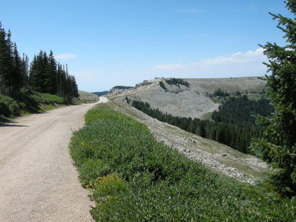 Bighorn Mountains, walking to the Medicine Wheel - July 2013 by MaxFarrar