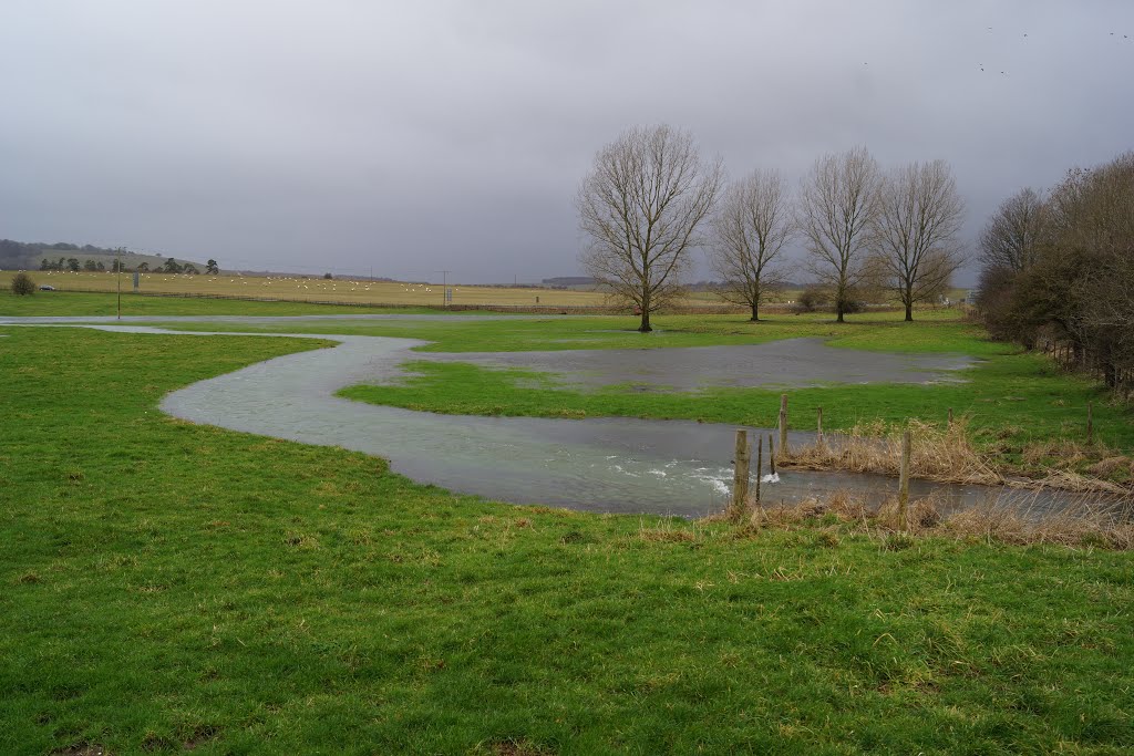 Wet Fields by Mike Shields