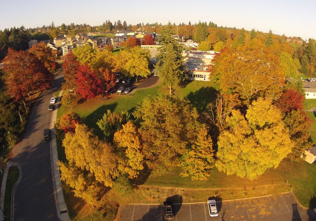 YMCA Fall colors by Scott Turchin