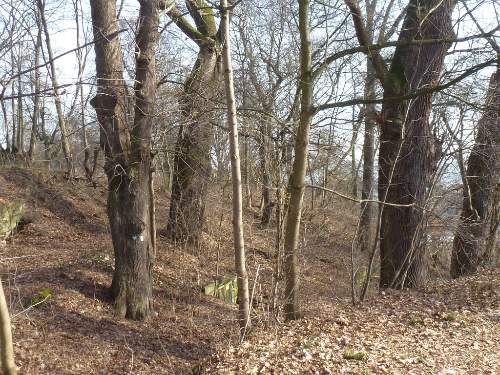 Naturdenkmal im Hohl by Luchs