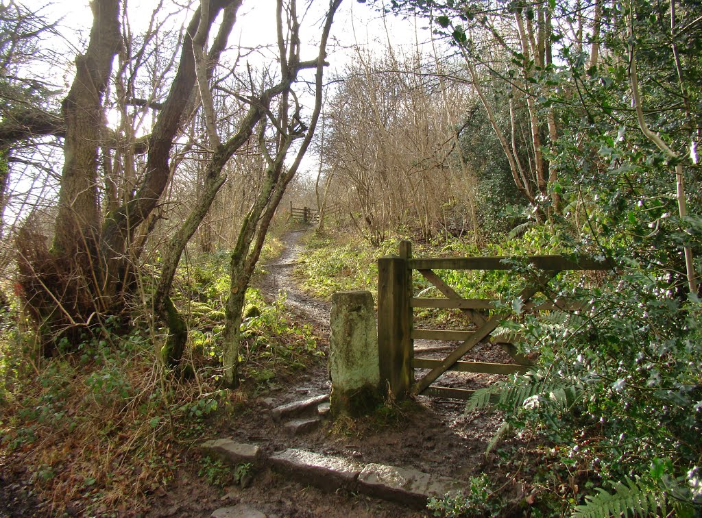 Gate and muddy footpath off Carr Lane, Thornhill S33 by six45ive