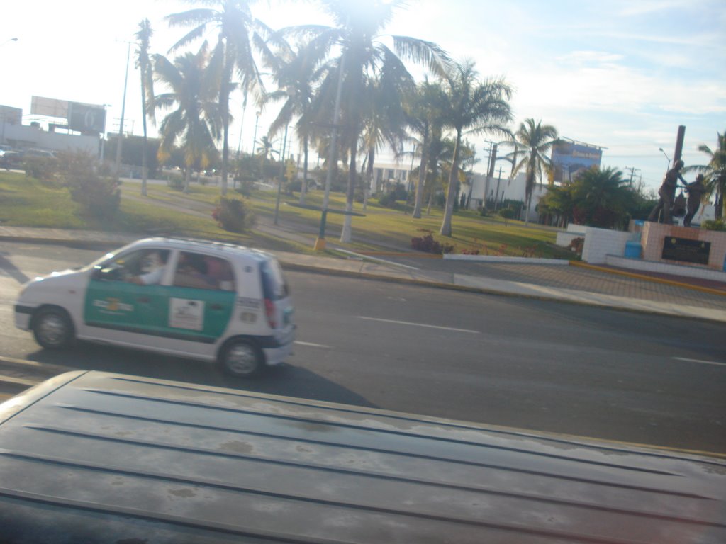 Palmeras en mazatlan by tisu3