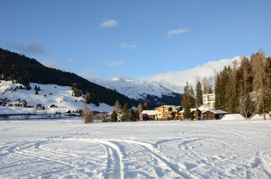 Landschaft bei Davos by Steven Hoa Chen