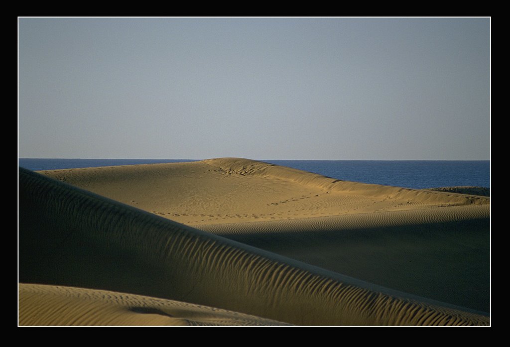 Duna (Maspalomas) by javierbranas