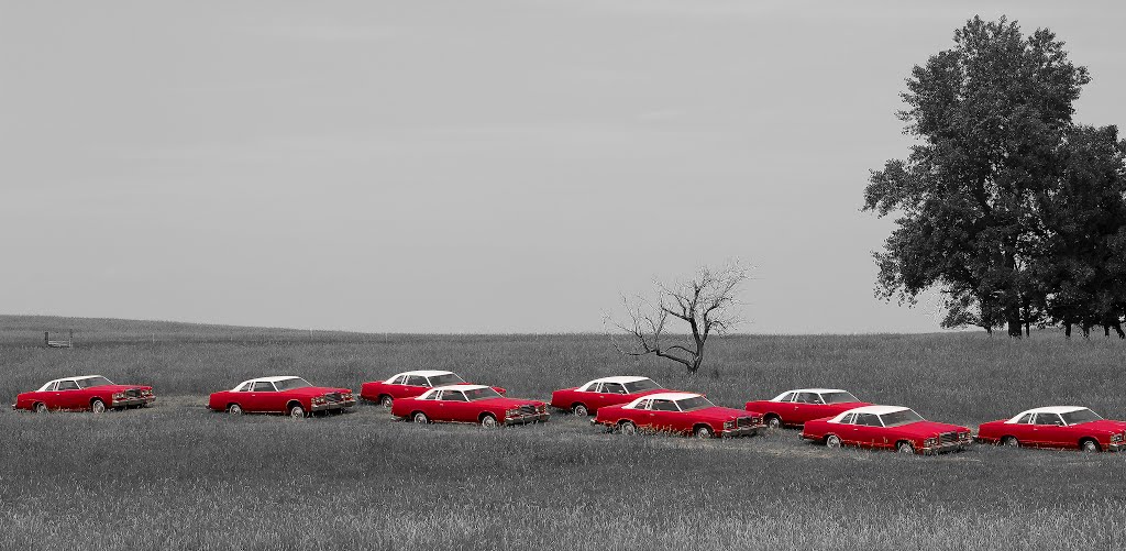 Parade of Cars by Mayer-Photogaphy