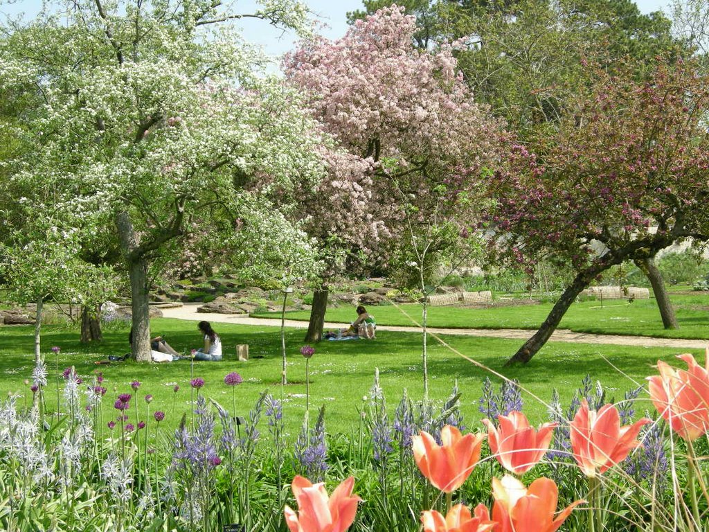 The Universityof Oxford Botanic garden by zovzaistina.com