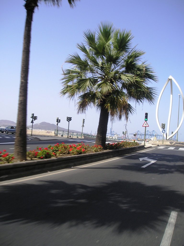 Las Palmas de Gran Canaria, Las Palmas, Spain by frony