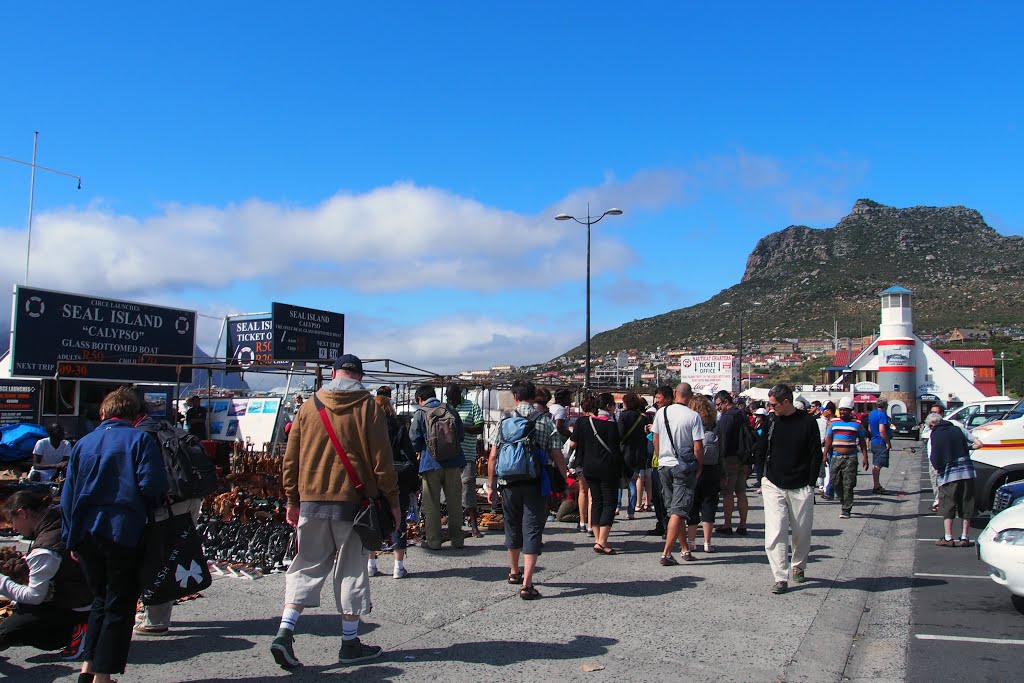 Seal Watching Cape Town 南非 開普頓 觀海豹 by Cheuk