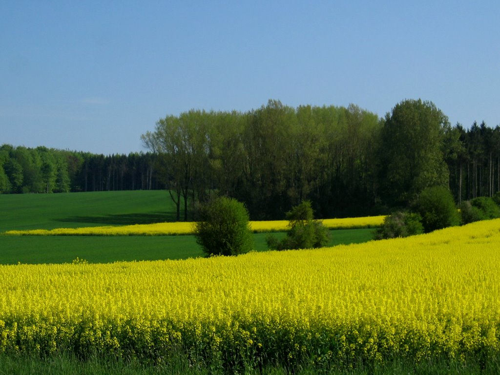 Landschaft zwischen Nottuln und Billerbeck by wthiemann