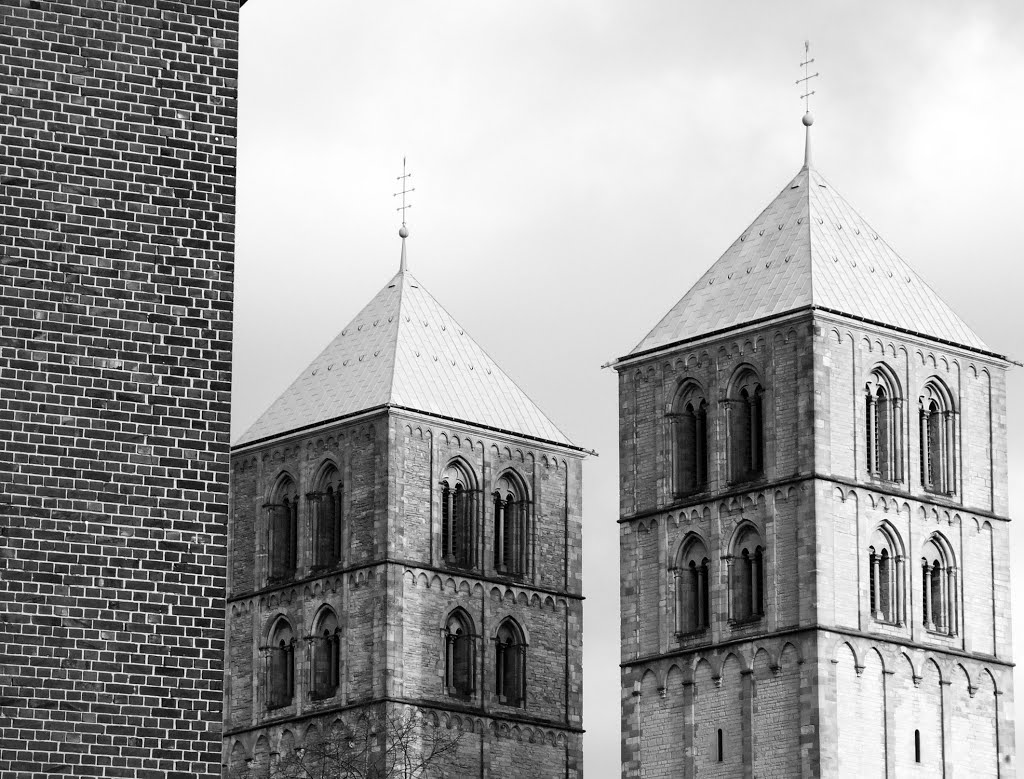 Der Dom zu Münster by mue52