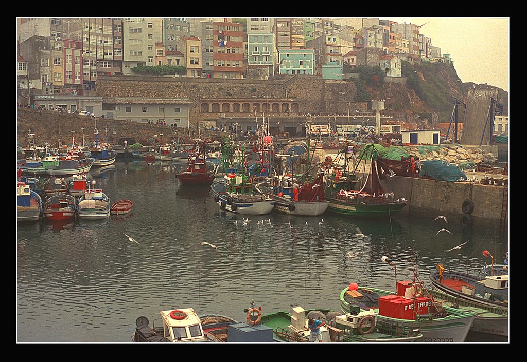 Puerto de Malpica by Javier B