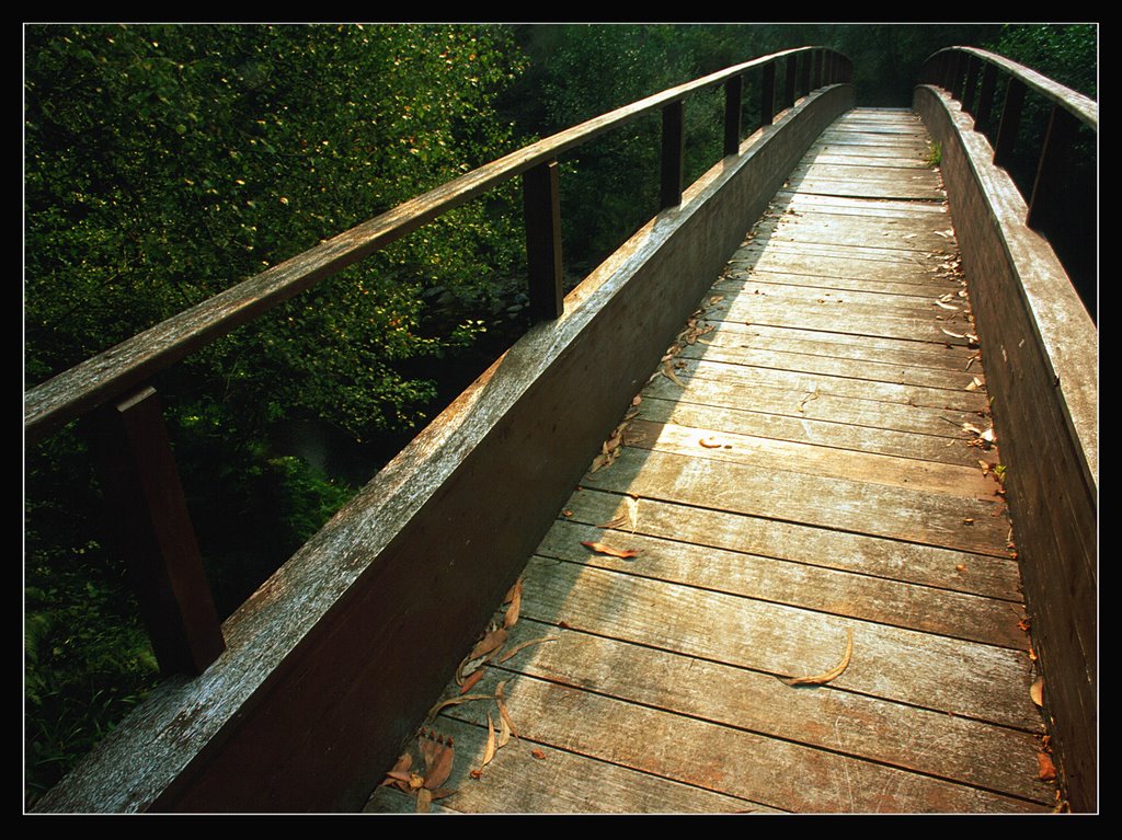 A ponte do muiño (Aranga) by javierbranas