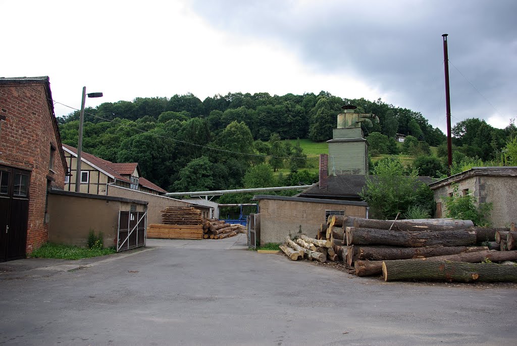 Technisches Denkmal "Sägewerk mit Dampflokomobile - Oberkrossen" (Uhlstädt-Kirchhasel), n.S. (i) by Herzi♥81