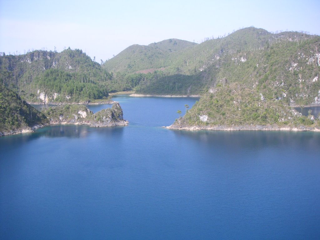 Laguna partida by Adolfo Descals