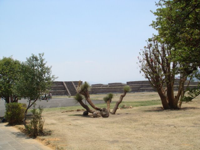 Ruinas y vegetación cercana al conjunto Templo de Quetzalcoatl. Teotihuacan by casaclio