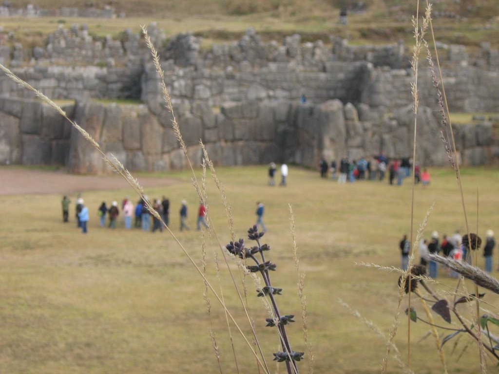 Sacsayhuaman by Isaac Grados Garcia