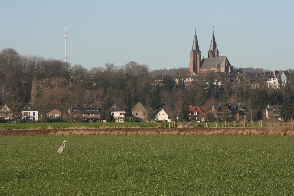 Kleve, Fischreiher vor Klever " Skyline " by Ludger Quartier