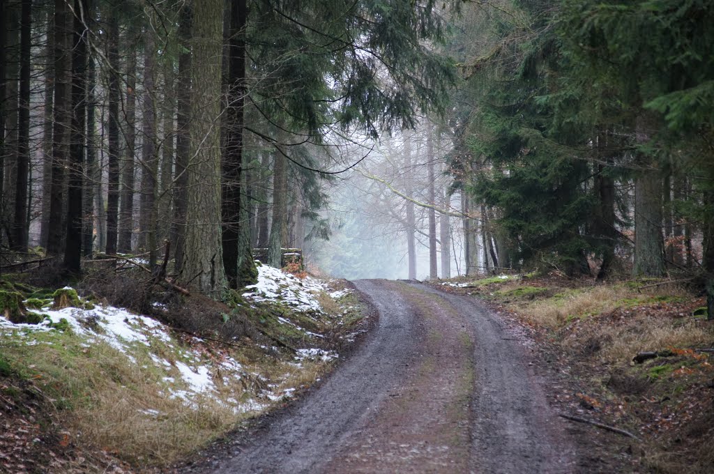 Malerischer Waldweg by Jürgen Düring