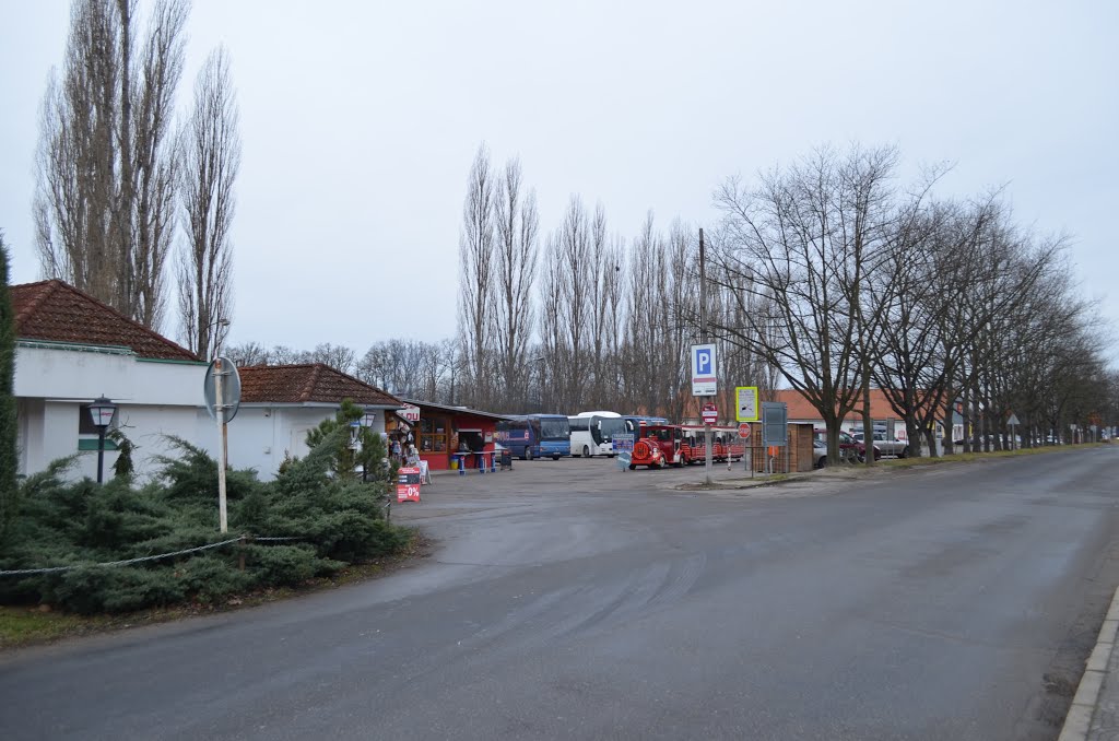 Czech Republic. Hluboká nad Vltavou (102678806) by Viktor Bakhmutov