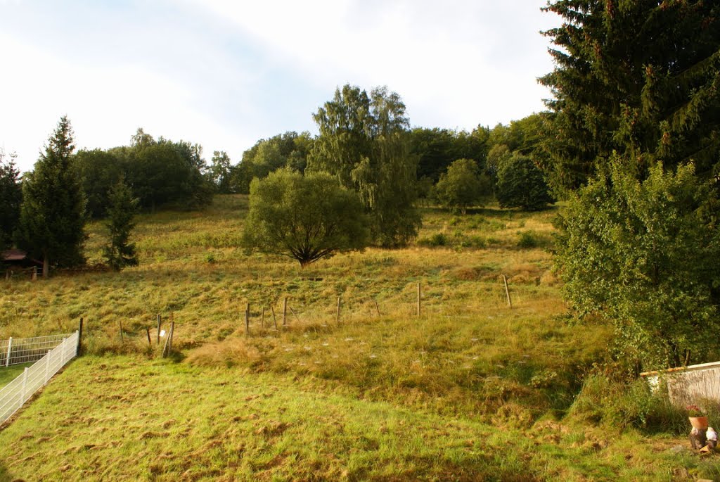 Blick zur Alten Wache (Harz) by Altmeister