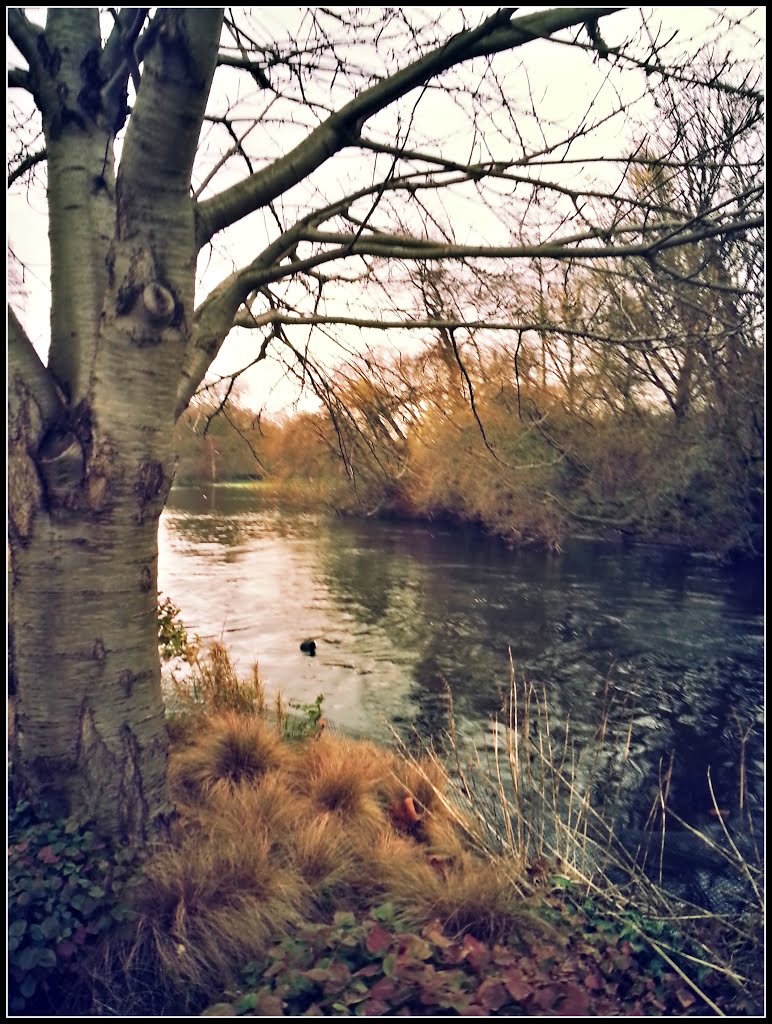 St.James park in winter by Michael  D