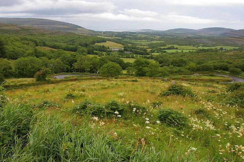 A view over The Burren by PMM