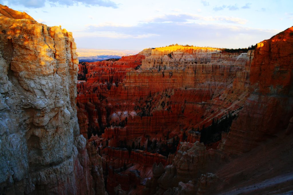 View from Rim Trail by cello974