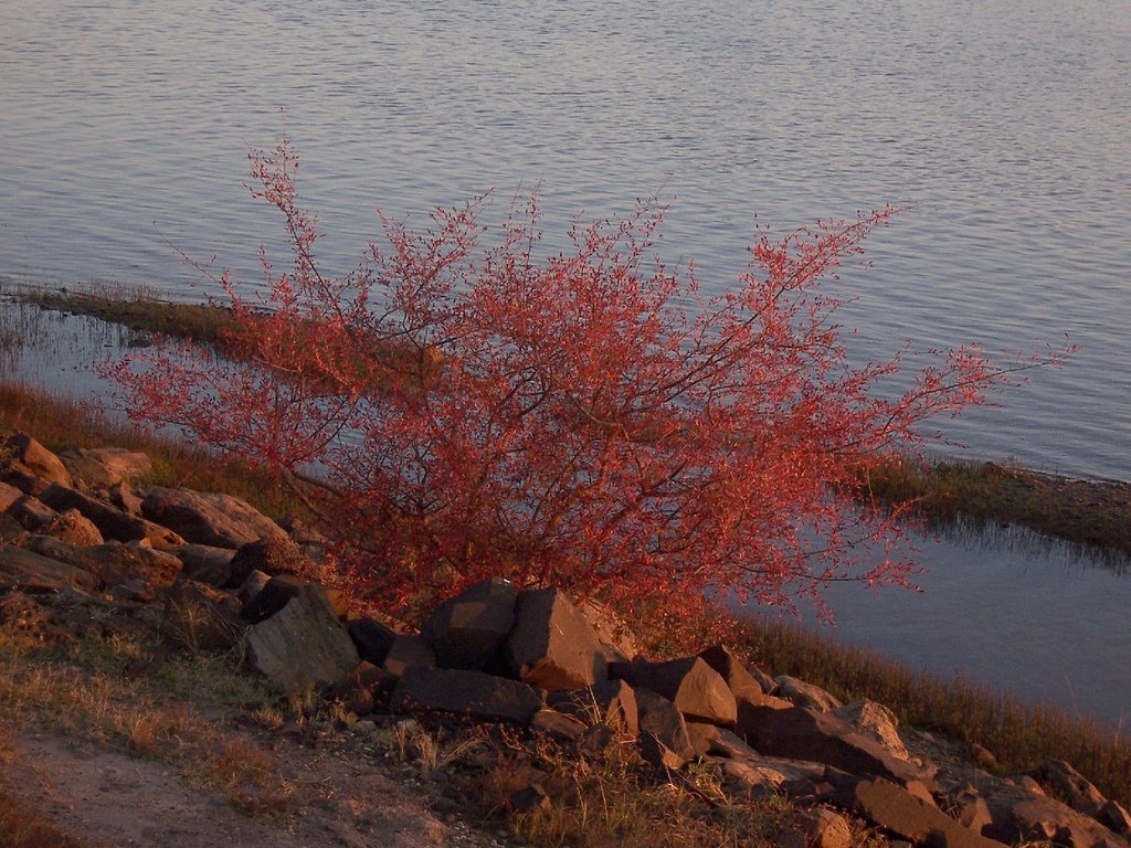 Salto, Uruguay by Edmundo Rodríguez Pr…