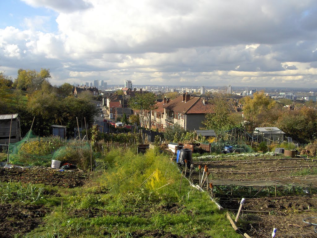 Hinstock allotments I by gordo1958