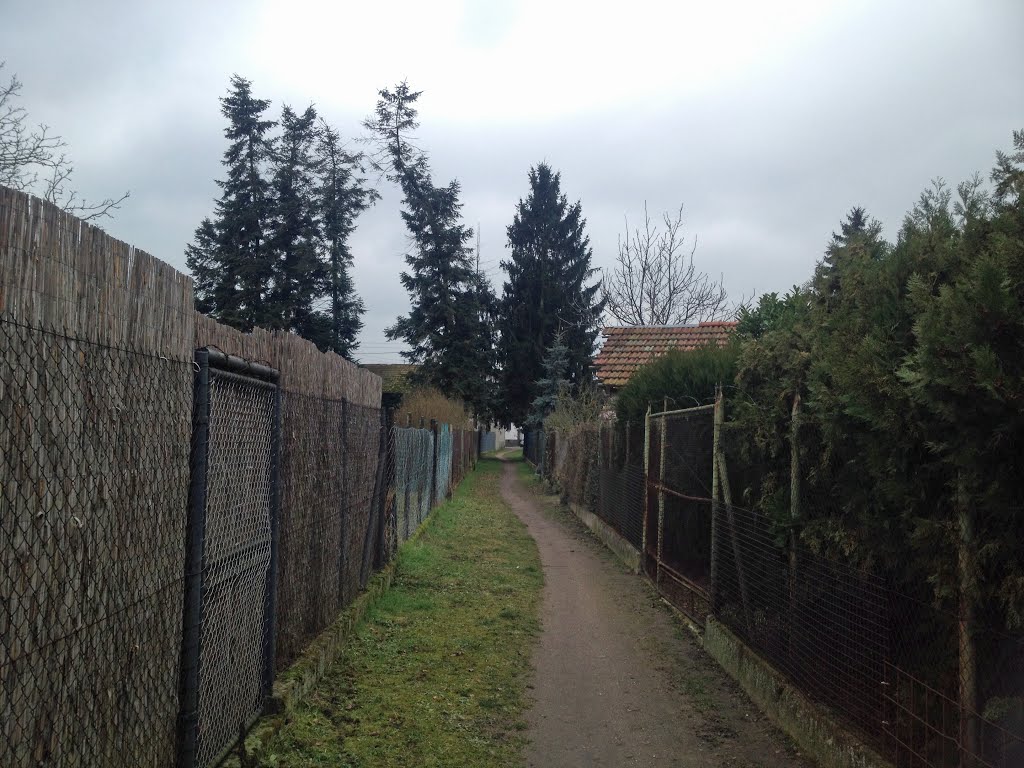 Hintergasse, Blick nach Südwesten by NRKoenig