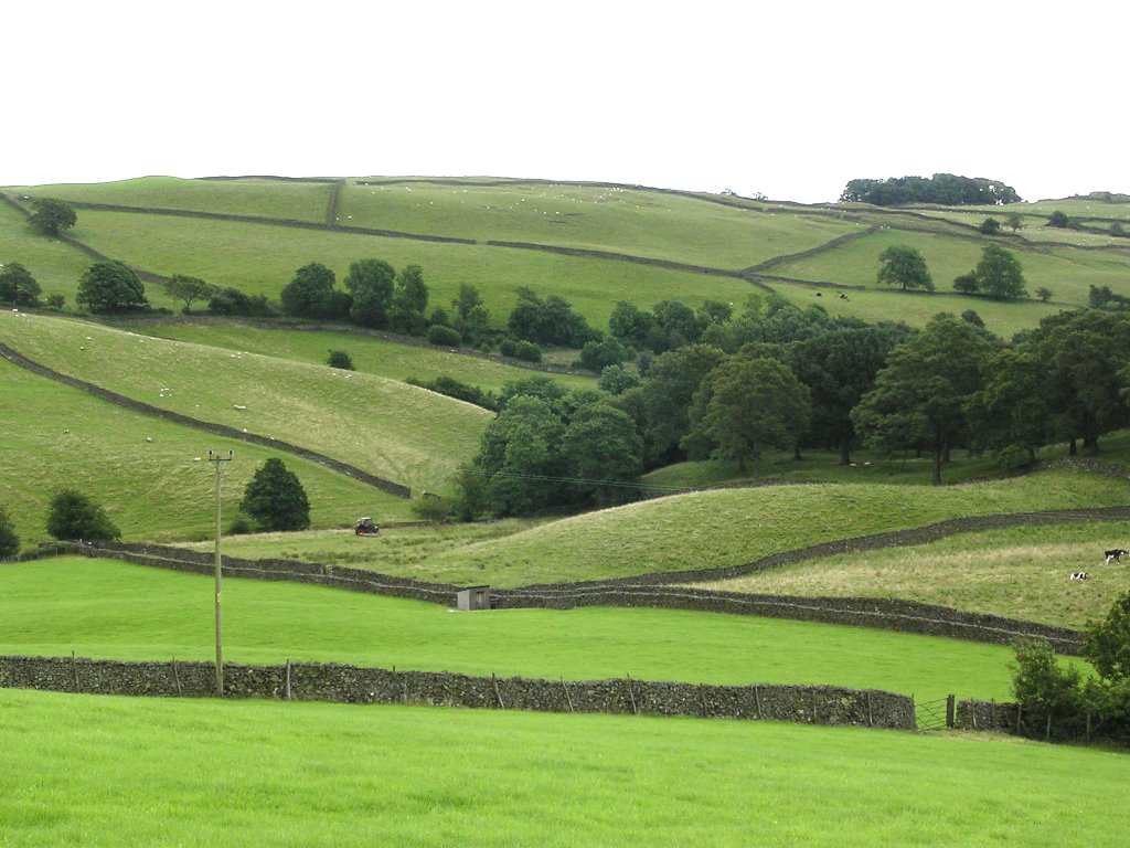 Elf Howe, Staveley by Bifty