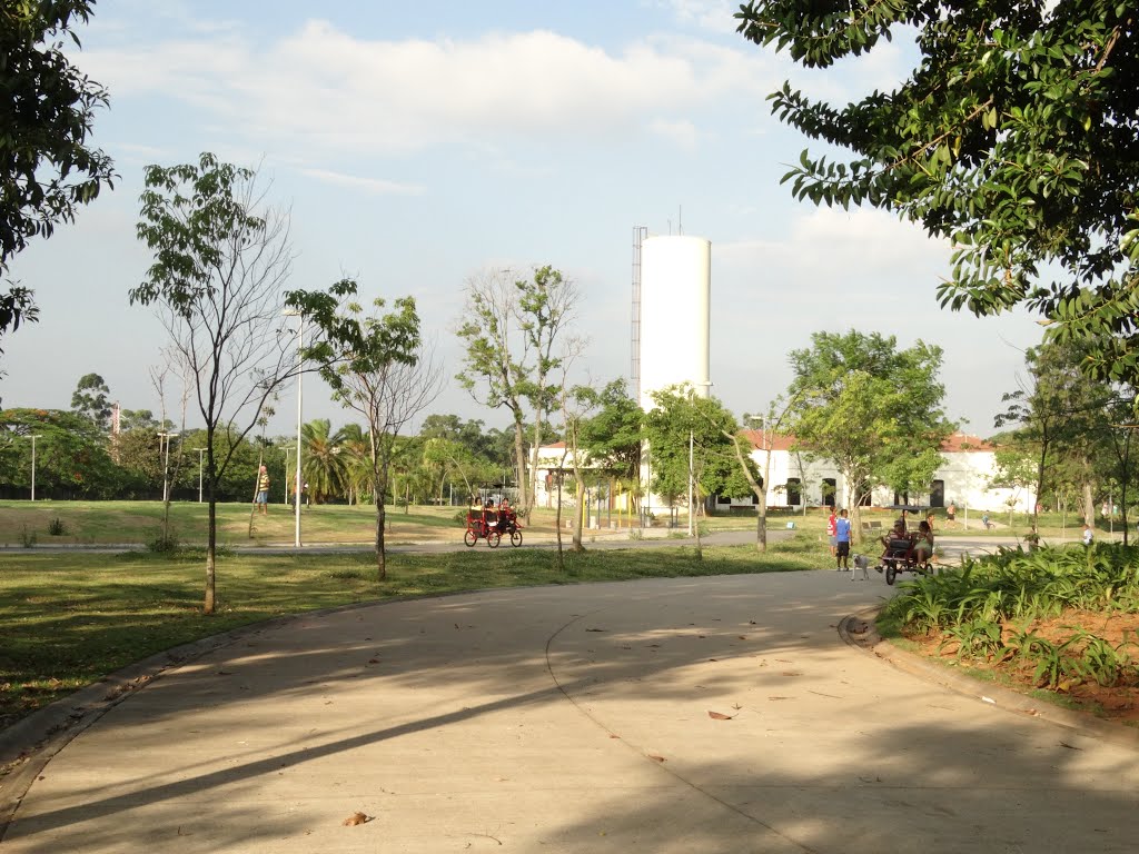 Parque Estadual do Belém – São Paulo, 2013 by Daniel Souza Lima