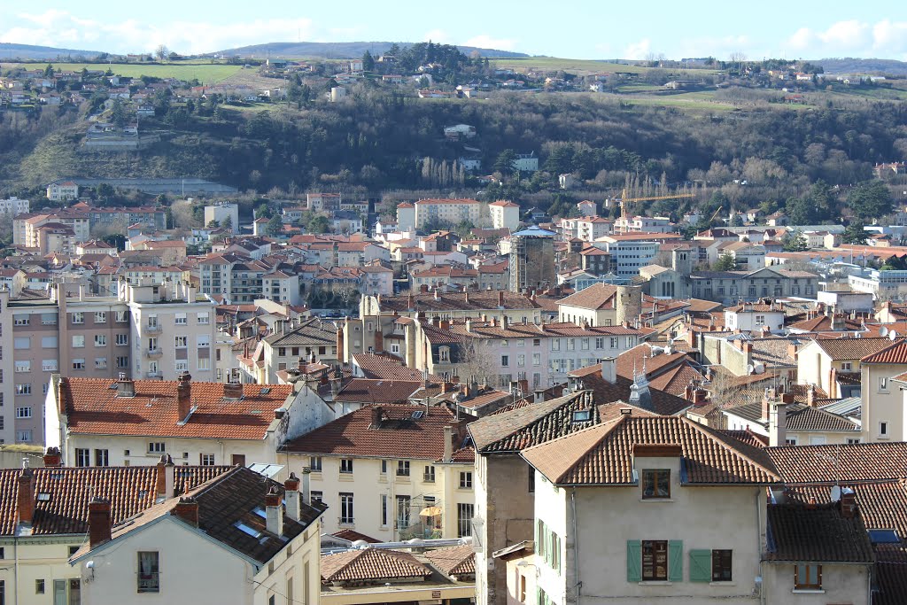 Vienne (38) 4 février 2014. Vue sur la ville depuis le Théâtre romain. by nouchetdu38