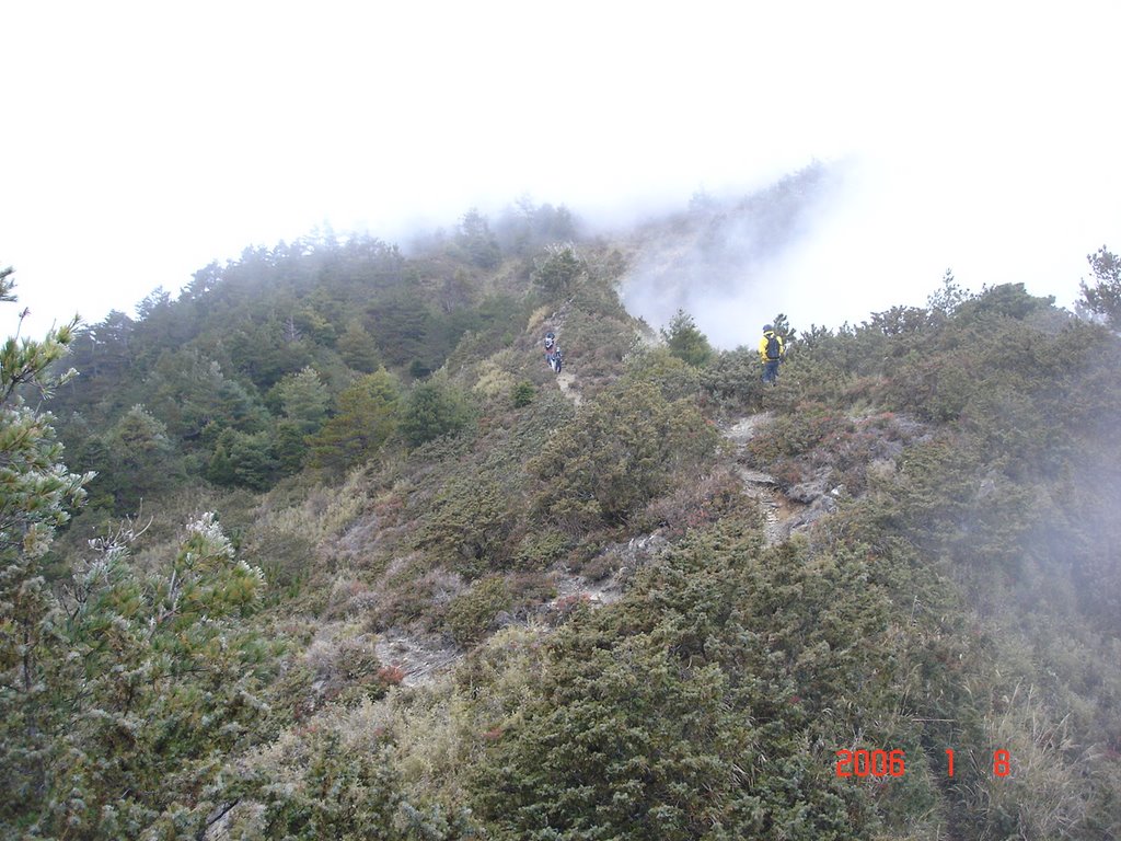 Taiwan 高雄縣，庫哈諾辛山，3116公尺。(2006/01/08) by Taiwan泰