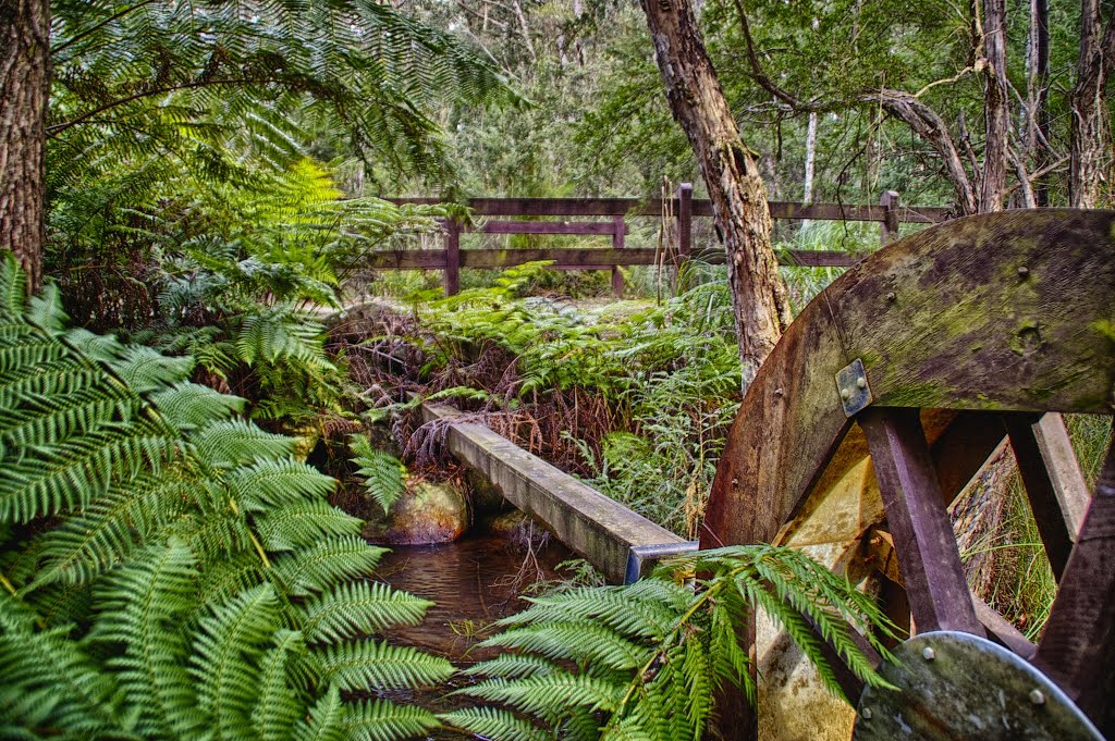 Kurth Kiln Regional Park A few short clicks north of Gembrook lies a hidden Parks Victoria gem. Kurth Kiln Regional Park is a secluded patch of dense bushland through which Tomahawk Creek flows and is the site of various fundamental changes in Victorian hi by that.phil.guy