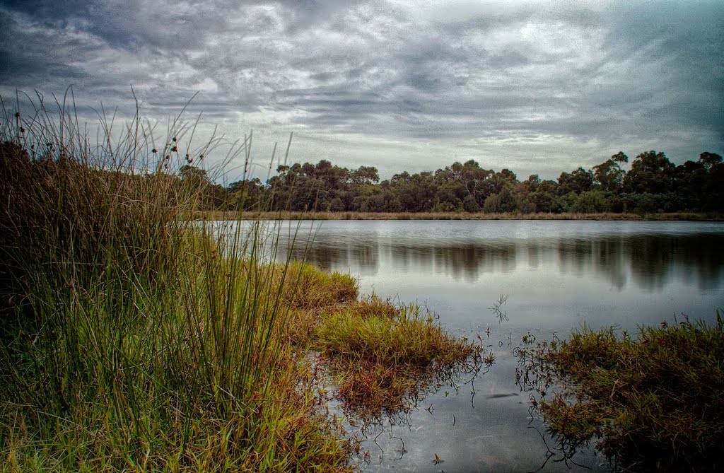 Lakewood Reserve I spent an hour at Lakewood Reserve in Knoxfield this afternoon looking for interesting shots. The conditions were overcast and dreary and after I took a few shots I thought about using a neutral density filter to allow for a longer exposu by that.phil.guy