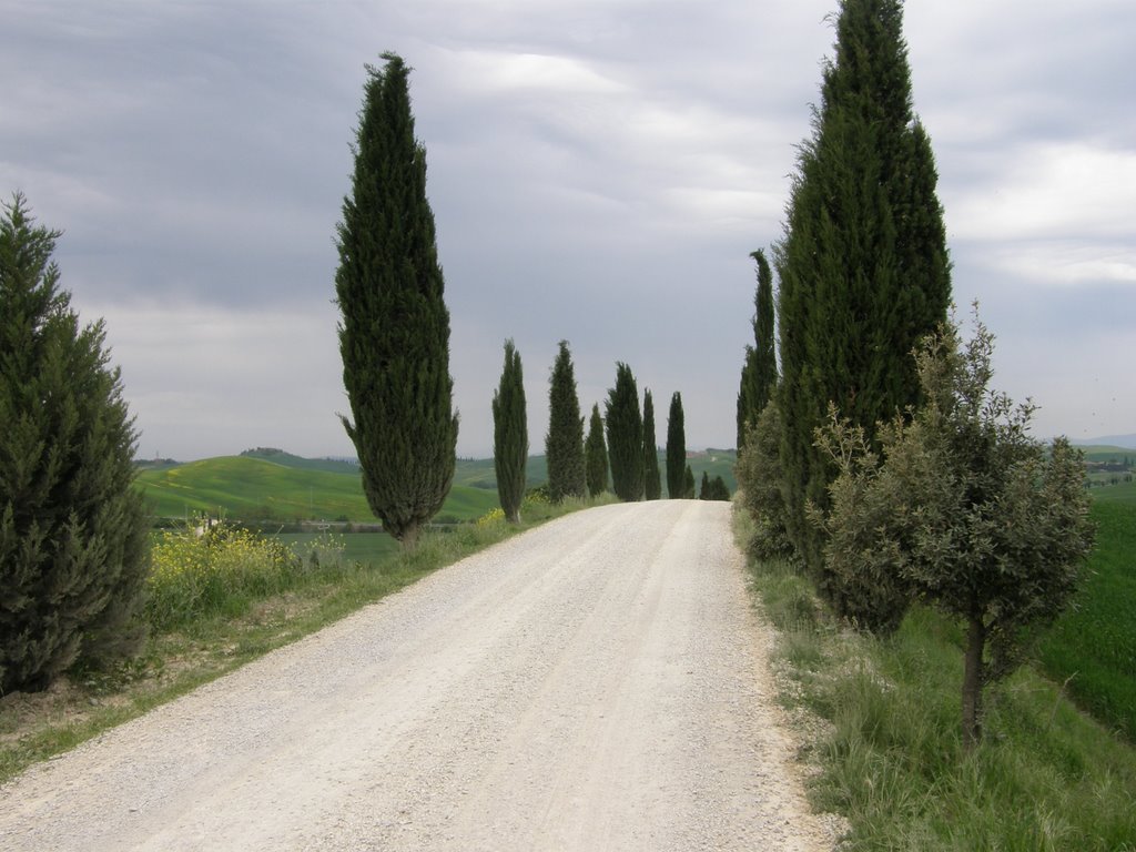 Tuscany landscape by doc.pl