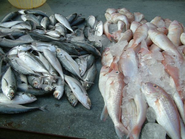 Fish stall - Kuching by mckeats