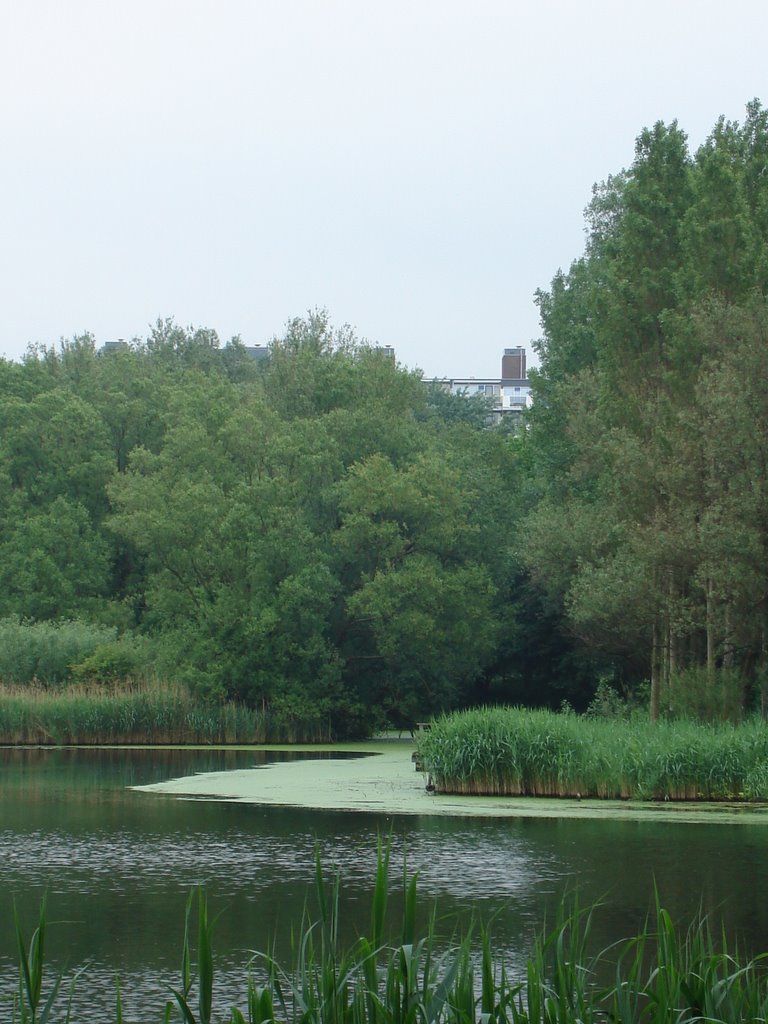 Kraayenstein, Den Haag, Netherlands by Holland Pictures