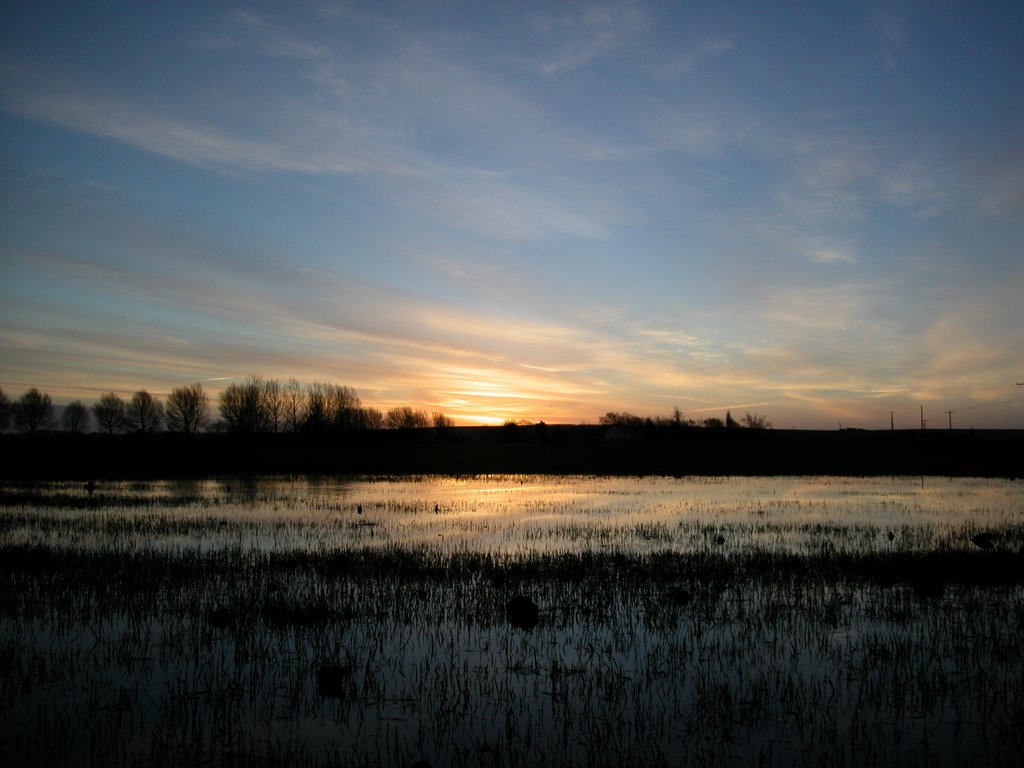 Sunset in a wet land by JelleG